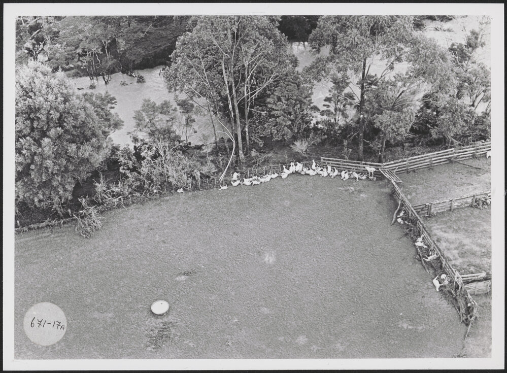 Abbott Farm (2)