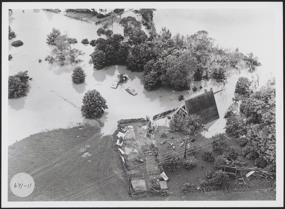 Abbott Farm (1)