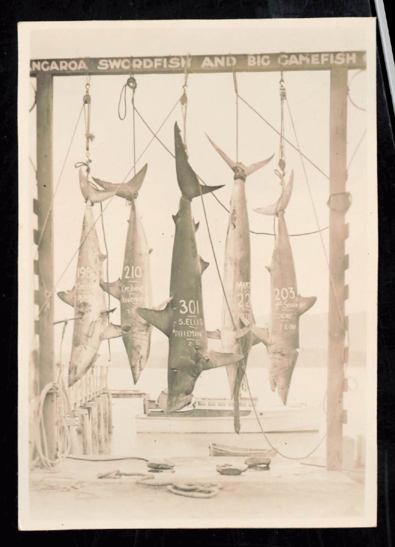 Whangaroa  Swordfish and Big Game Fishing