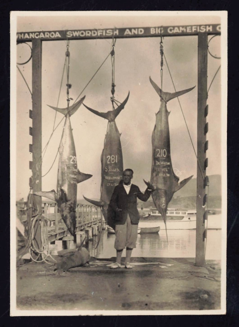 Whangaroa  Swordfish and Big Game Fishing