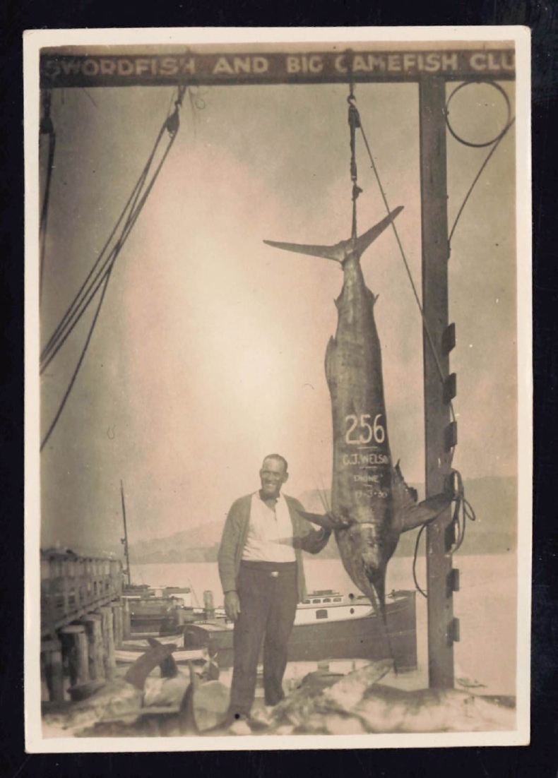 Whangaroa  Swordfish and Big Game Fishing