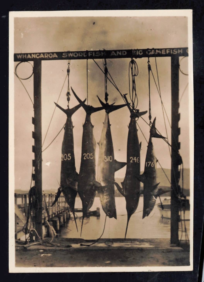 Whangaroa  Swordfish and Big Game Fishing