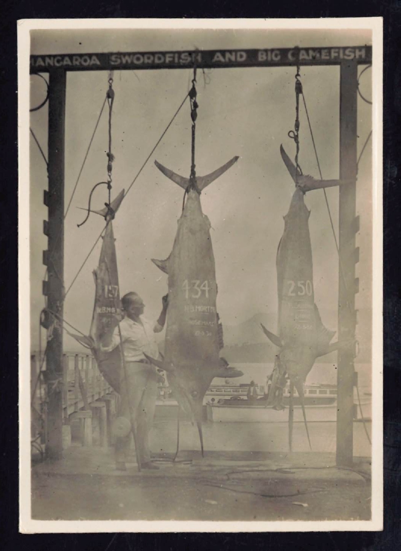 Whangaroa  Swordfish and Big Game Fishing