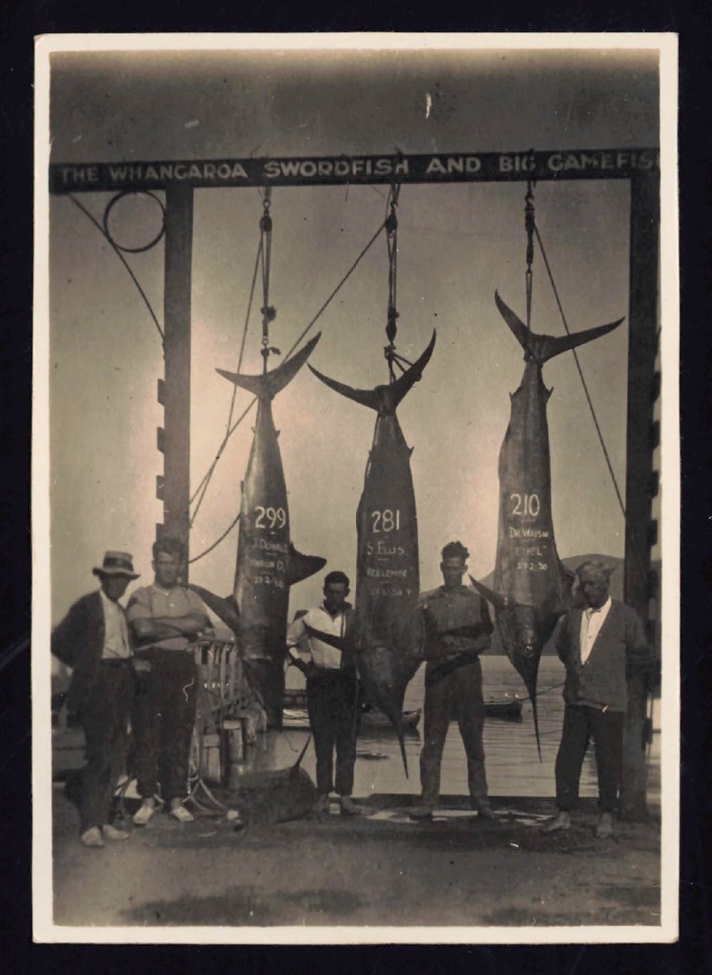 Whangaroa  Swordfish and Big Game Fishing