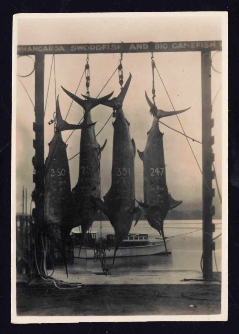 Whangaroa  Swordfish and Big Game Fishing