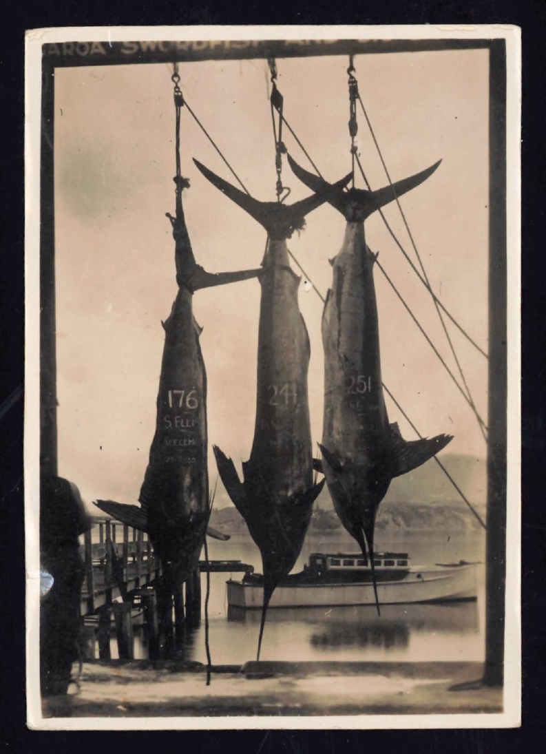 Whangaroa  Swordfish and Big Game Fishing