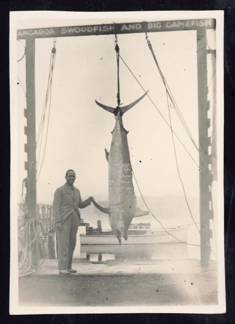 Whangaroa  Swordfish and Big Game Fishing