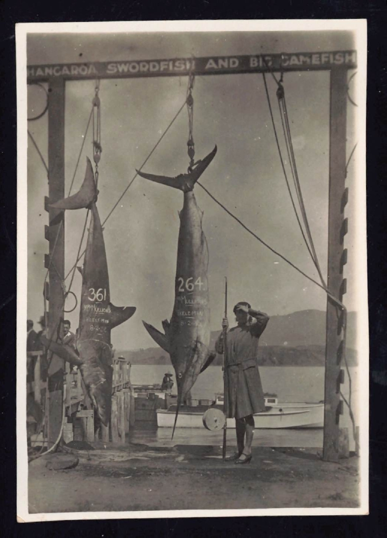 Whangaroa  Swordfish and Big Game Fishing
