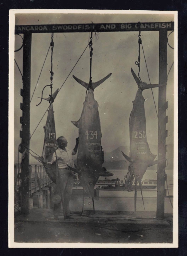 Whangaroa  Swordfish and Big Game Fishing