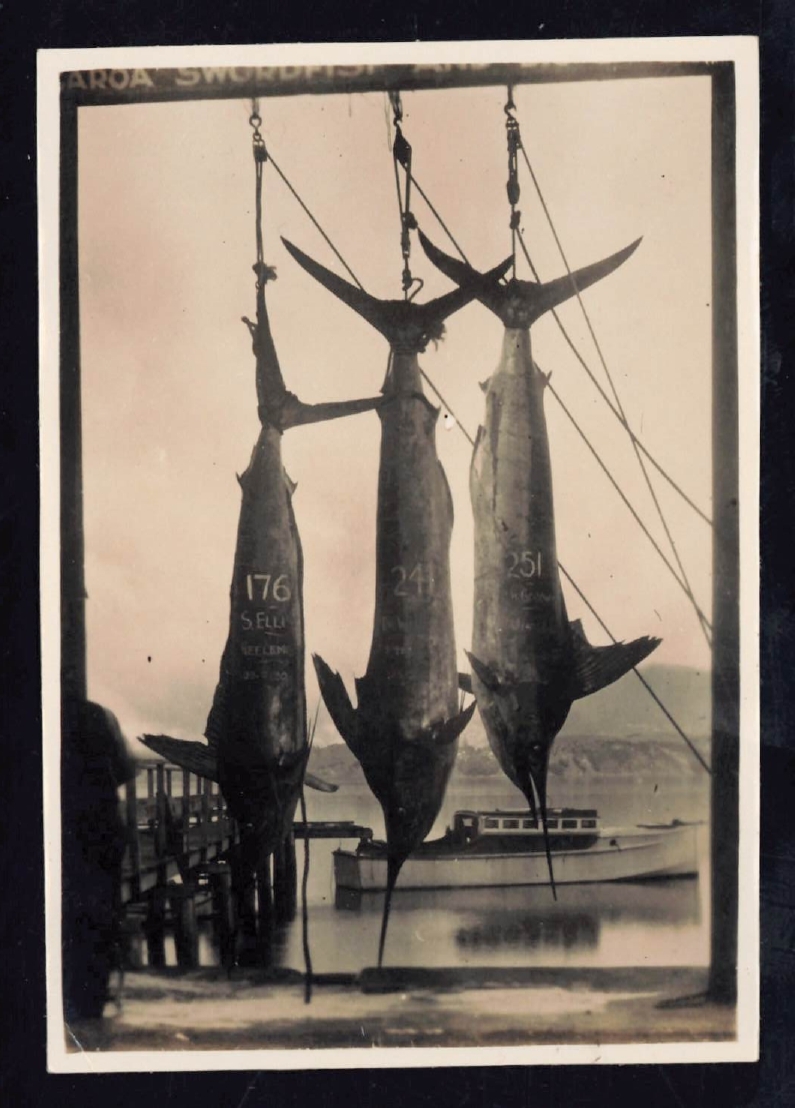 Whangaroa  Swordfish and Big Game Fishing
