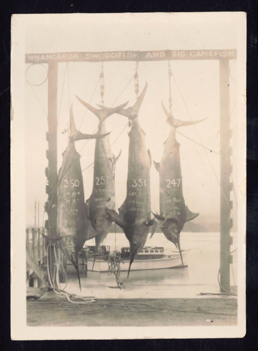 Whangaroa  Swordfish and Big Game Fishing