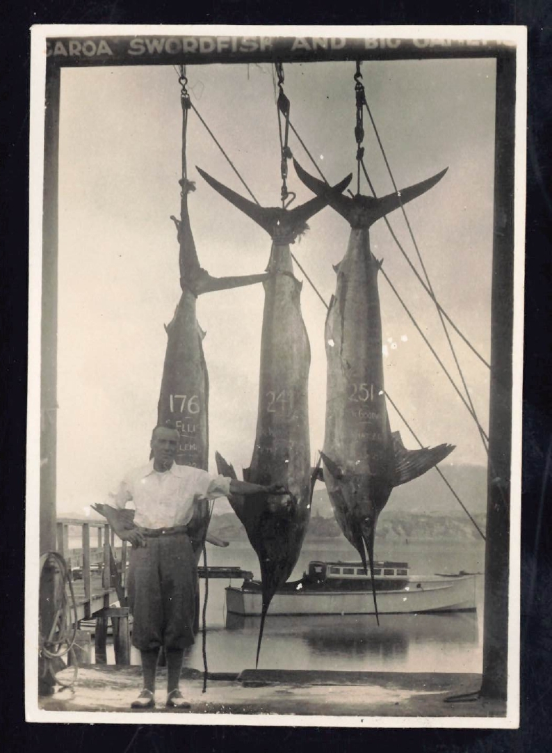 Whangaroa  Swordfish and Big Game Fishing