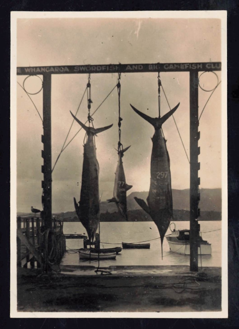 Whangaroa  Swordfish and Big Game Fishing