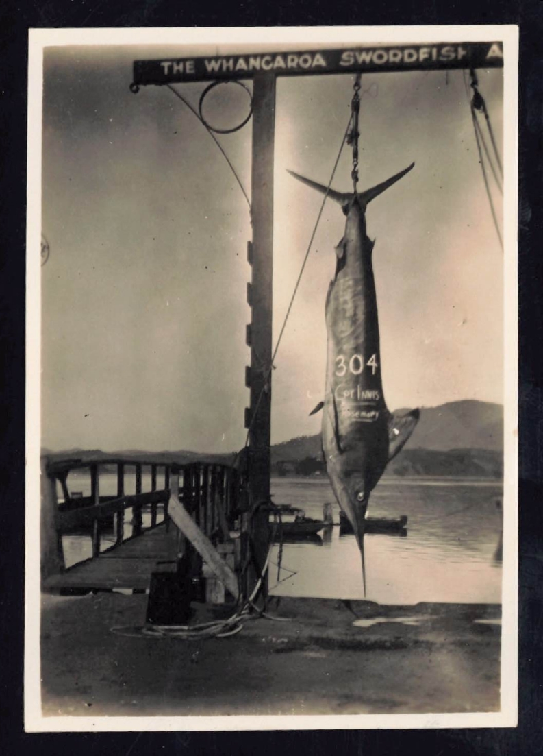Whangaroa  Swordfish and Big Game Fishing