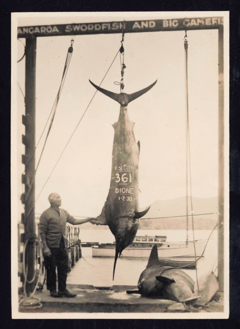Whangaroa  Swordfish and Big Game Fishing