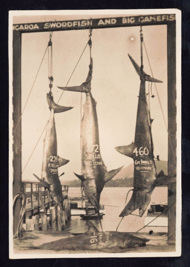 Whangaroa  Swordfish and Big Game Fishing