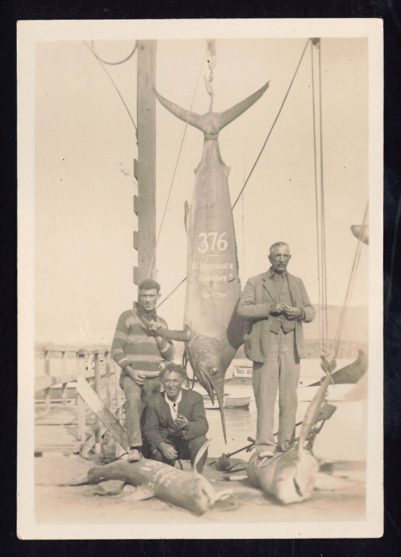 Whangaroa  Swordfish and Big Game Fishing