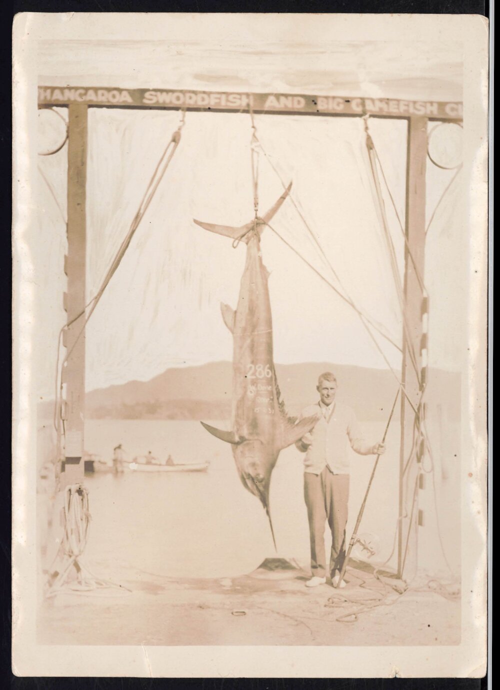 Whangaroa  Swordfish and Big Game Fishing