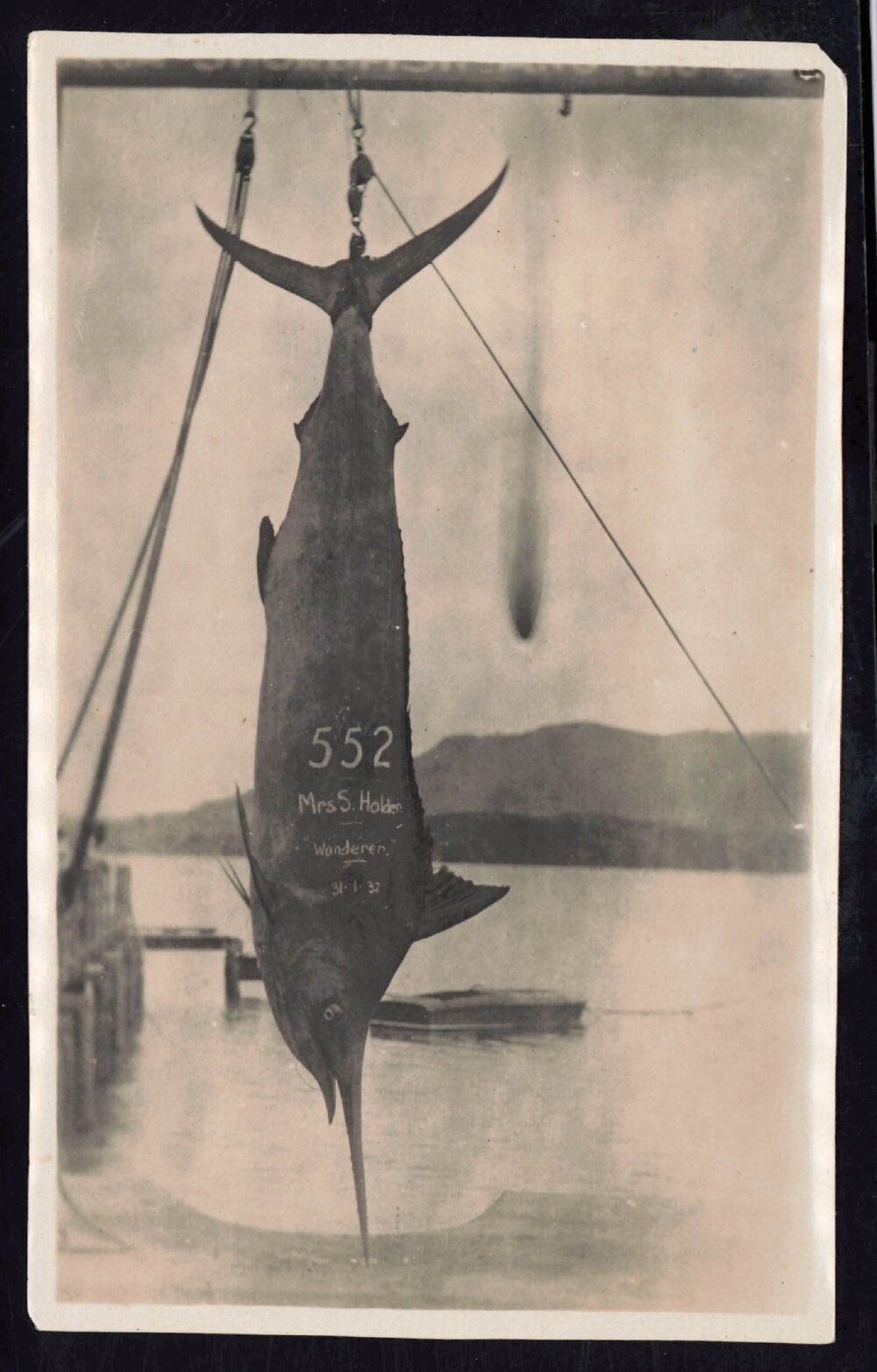 Whangaroa  Swordfish and Big Game Fishing