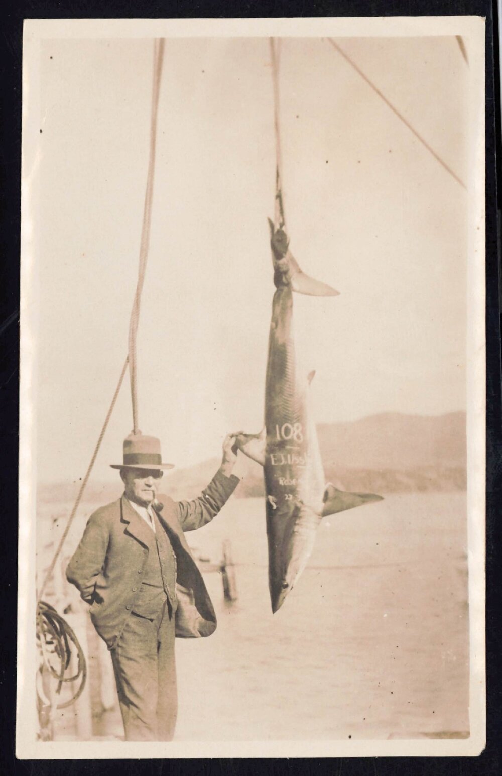 Whangaroa  Swordfish and Big Game Fishing