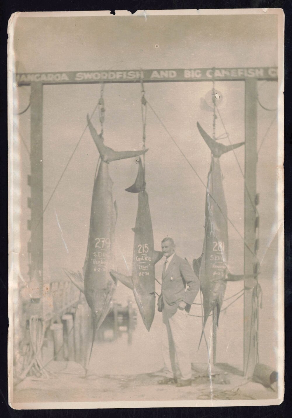 Whangaroa  Swordfish and Big Game Fishing