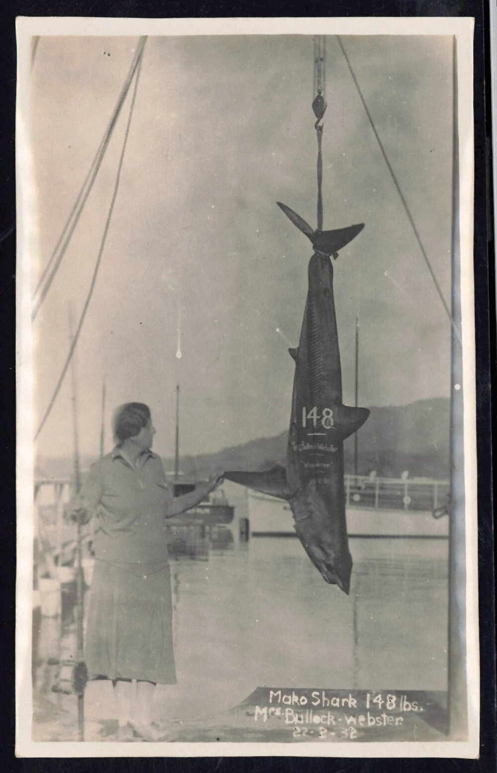 Whangaroa  Swordfish and Big Game Fishing