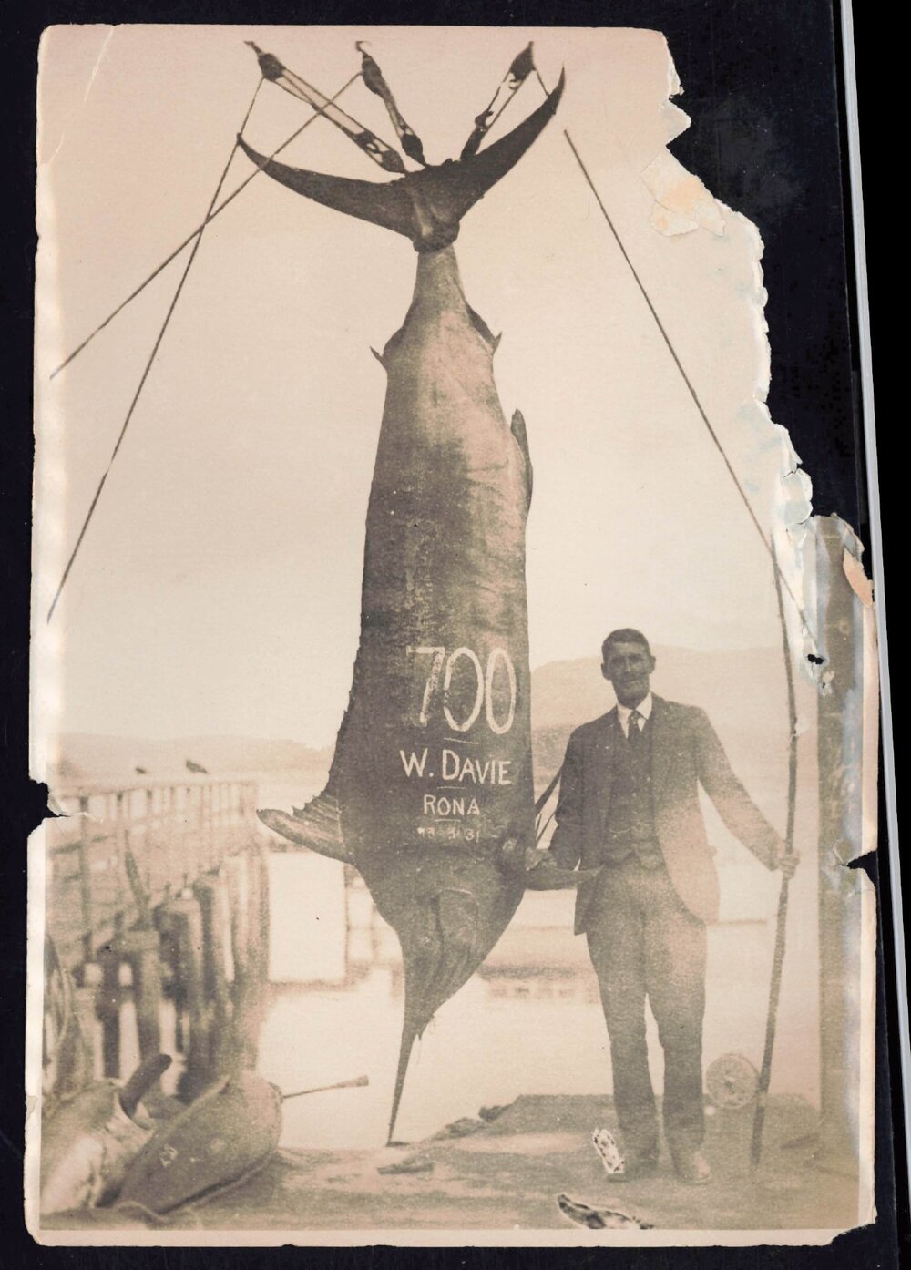 Whangaroa  Swordfish and Big Game Fishing