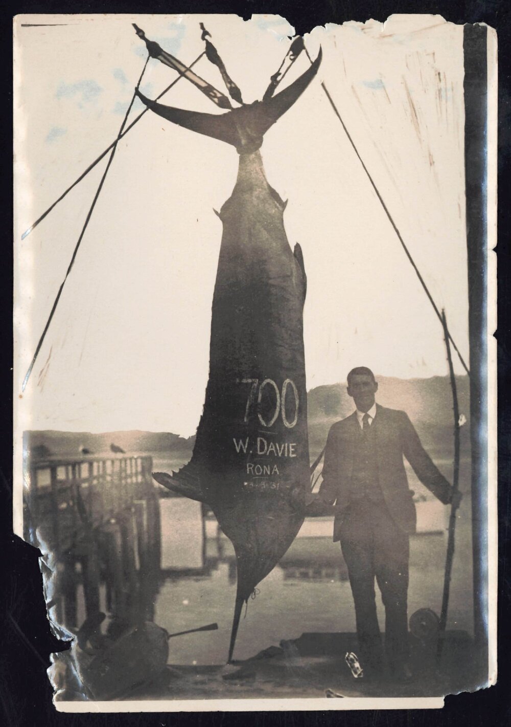 Whangaroa  Swordfish and Big Game Fishing