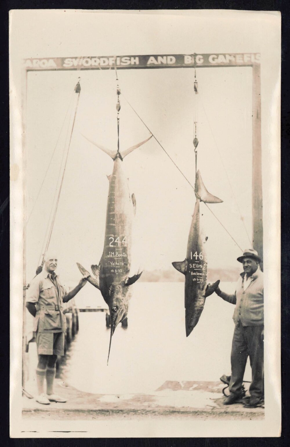 Whangaroa  Swordfish and Big Game Fishing