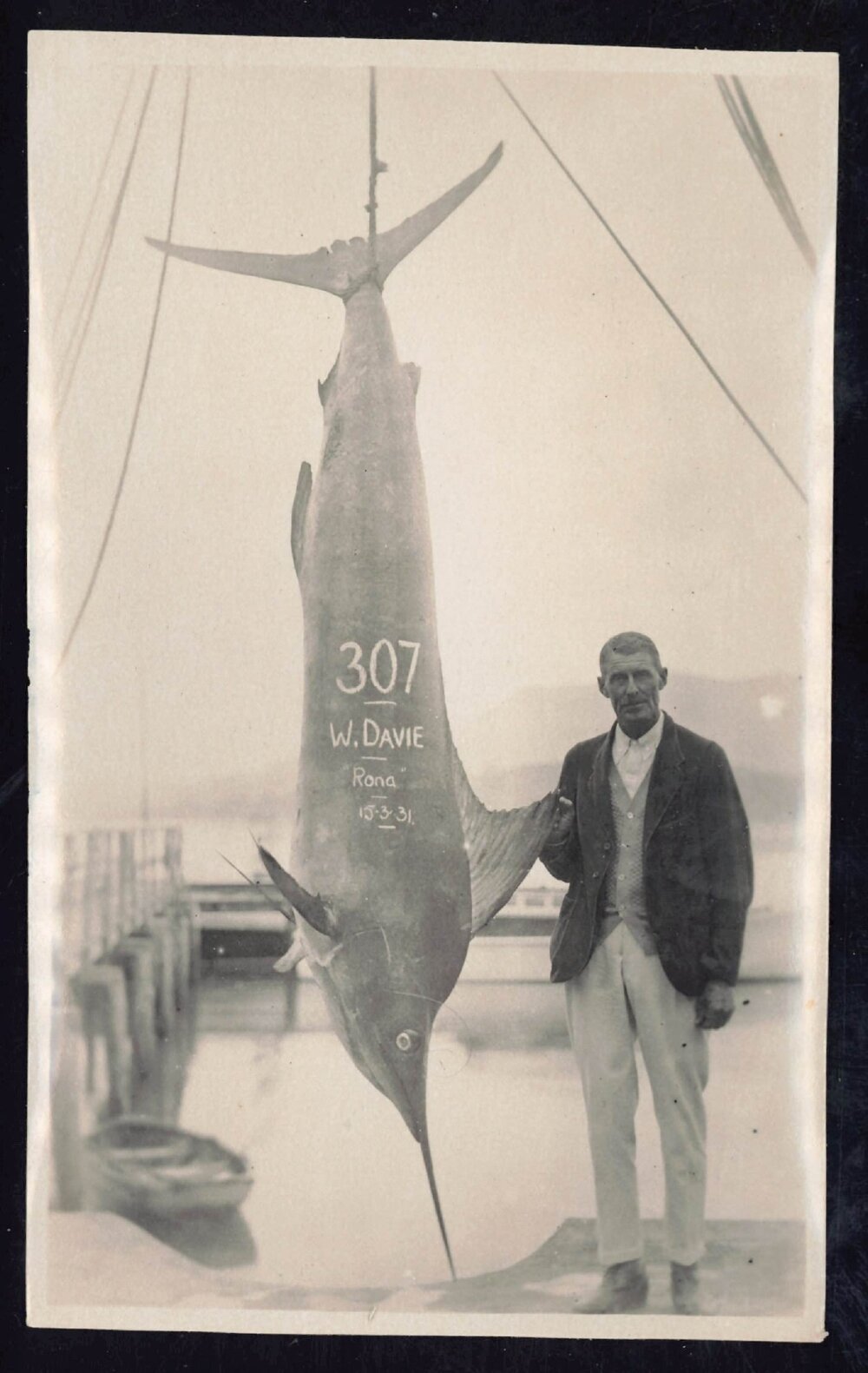 Whangaroa  Swordfish and Big Game Fishing