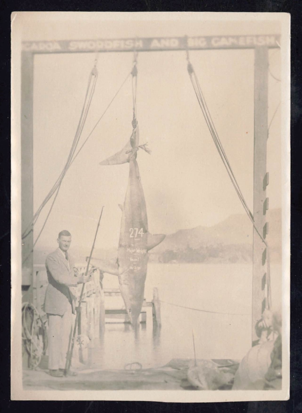 Whangaroa  Swordfish and Big Game Fishing