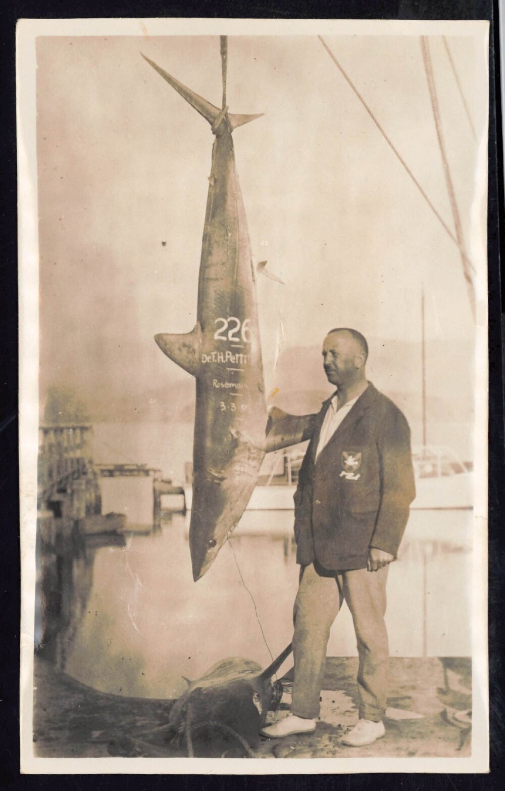 Whangaroa  Swordfish and Big Game Fishing