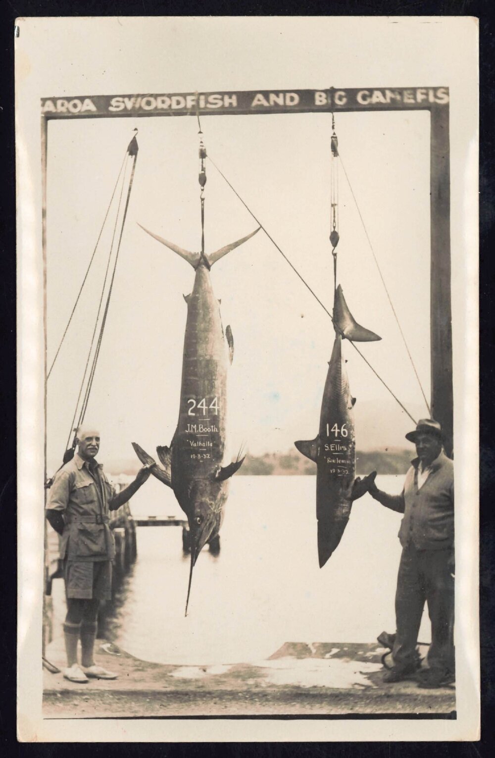 Whangaroa  Swordfish and Big Game Fishing