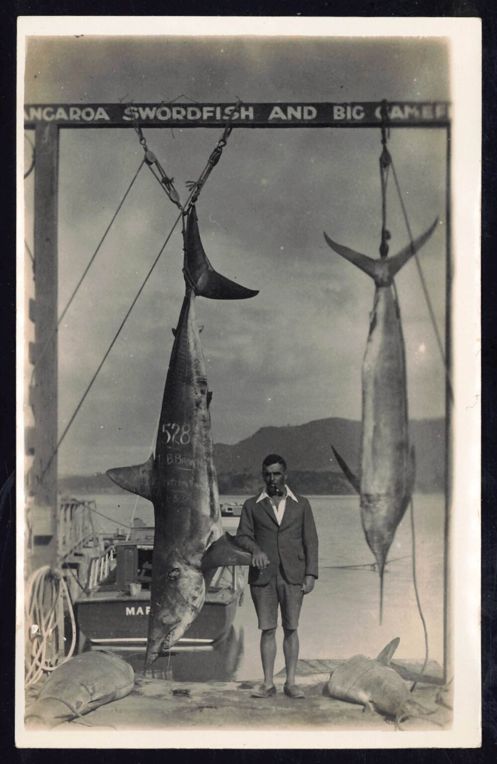 Whangaroa  Swordfish and Big Game Fishing