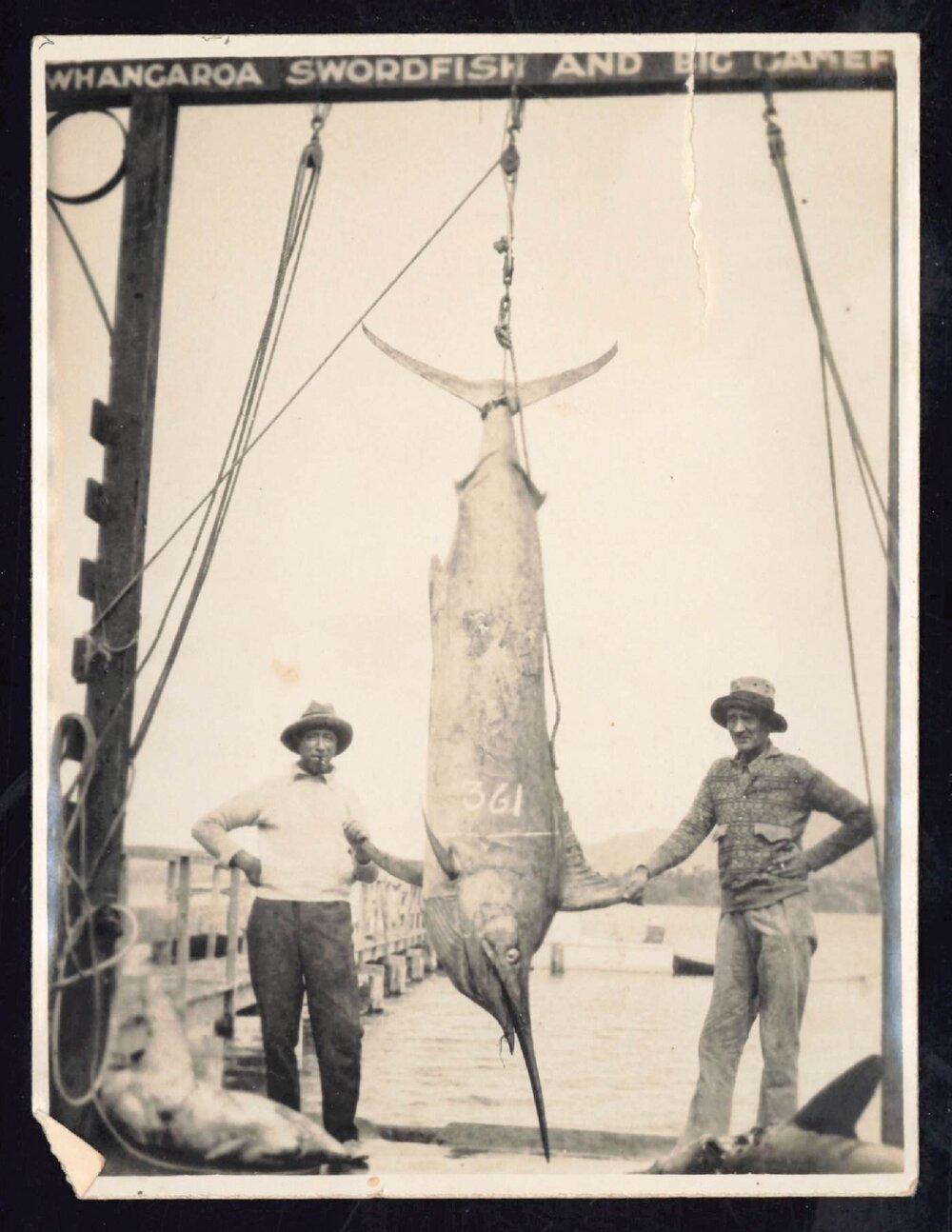 Whangaroa  Swordfish and Big Game Fishing