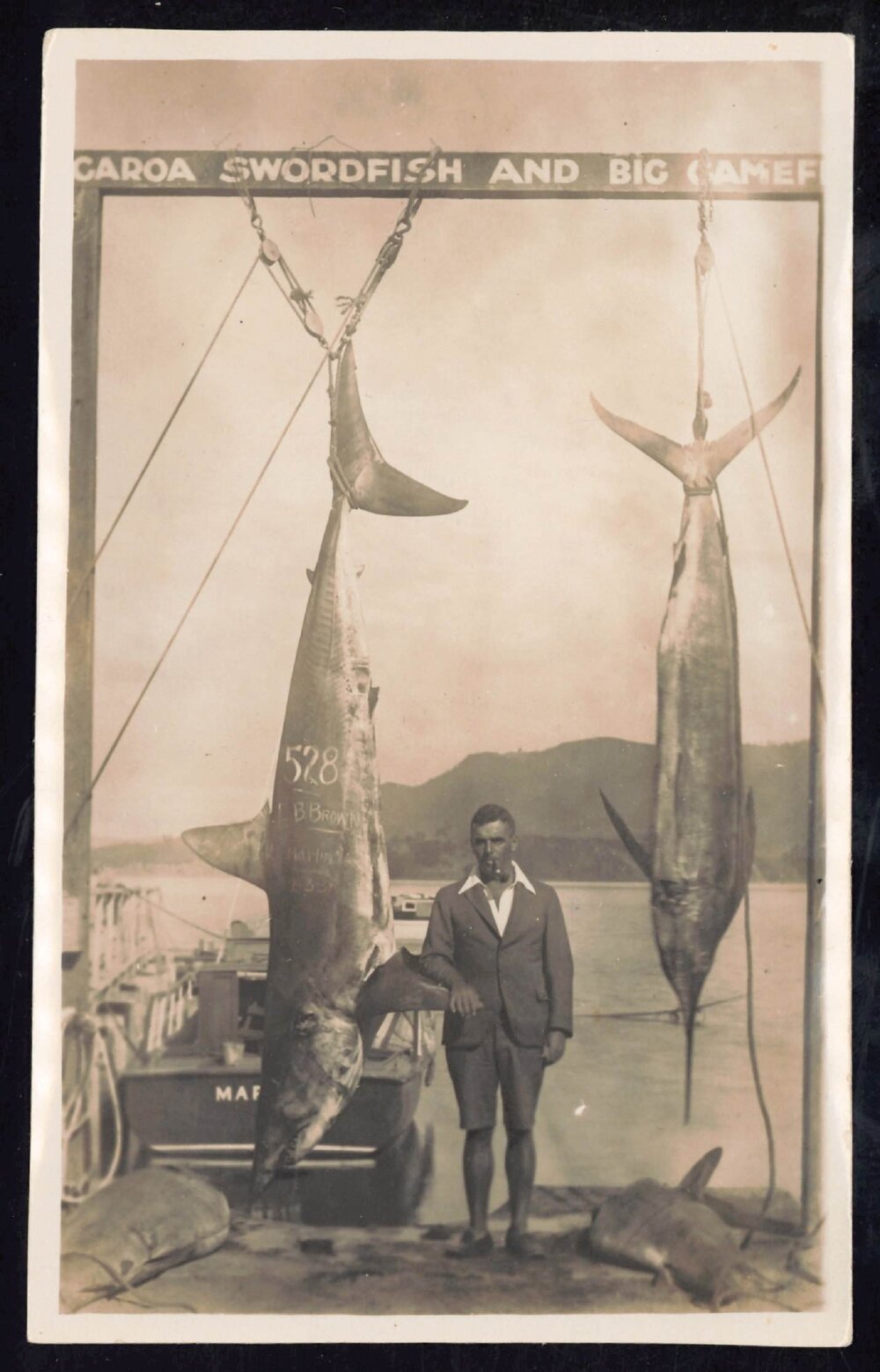Whangaroa  Swordfish and Big Game Fishing
