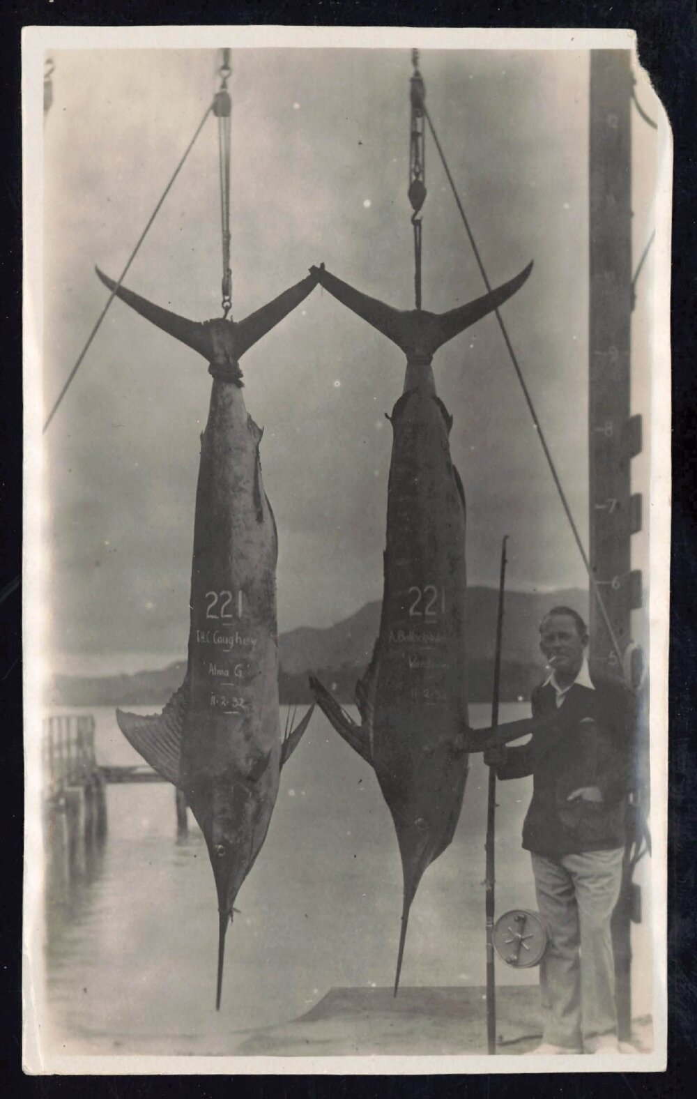 Whangaroa  Swordfish and Big Game Fishing