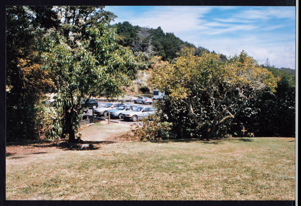 Williams House Paihia Library -  Open day