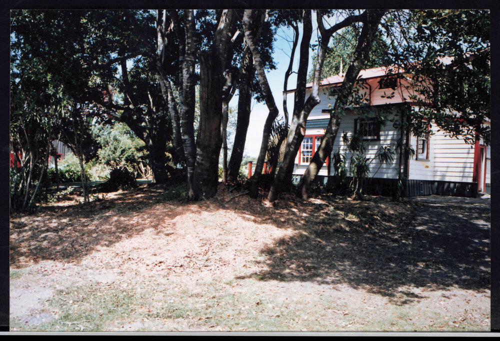 Williams House Paihia Library -  Open day