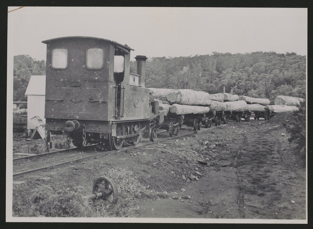 Waipapa Landing 1916