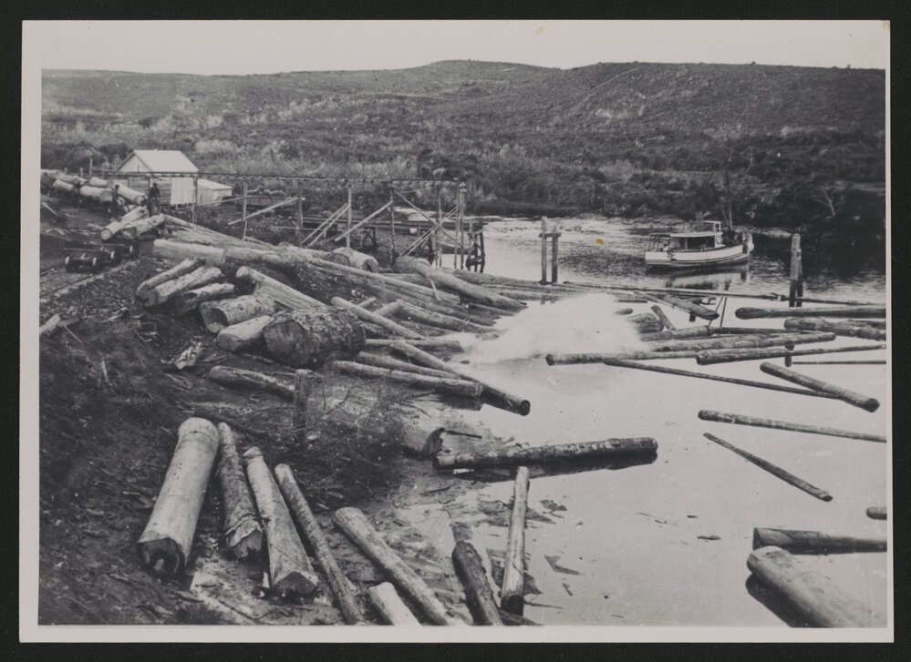 Kauri Timber Co Tramway Terminal