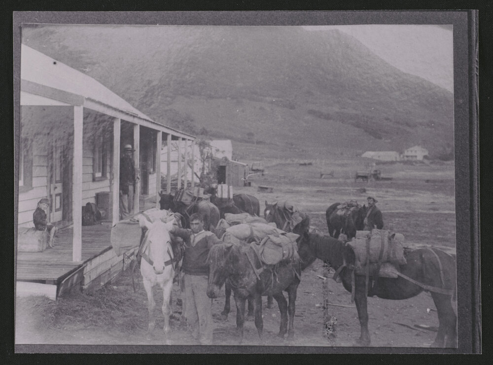 Ahipara Gumstore and Packhorses
