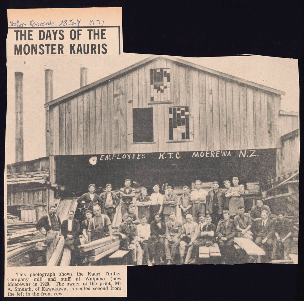 Days of the monster kauris