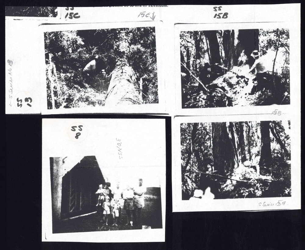 Photographs of Martin Smythe