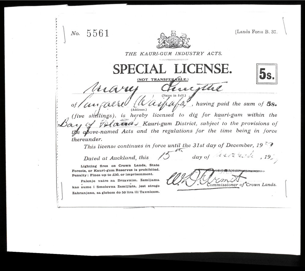 Special license to dig for Kauri gum