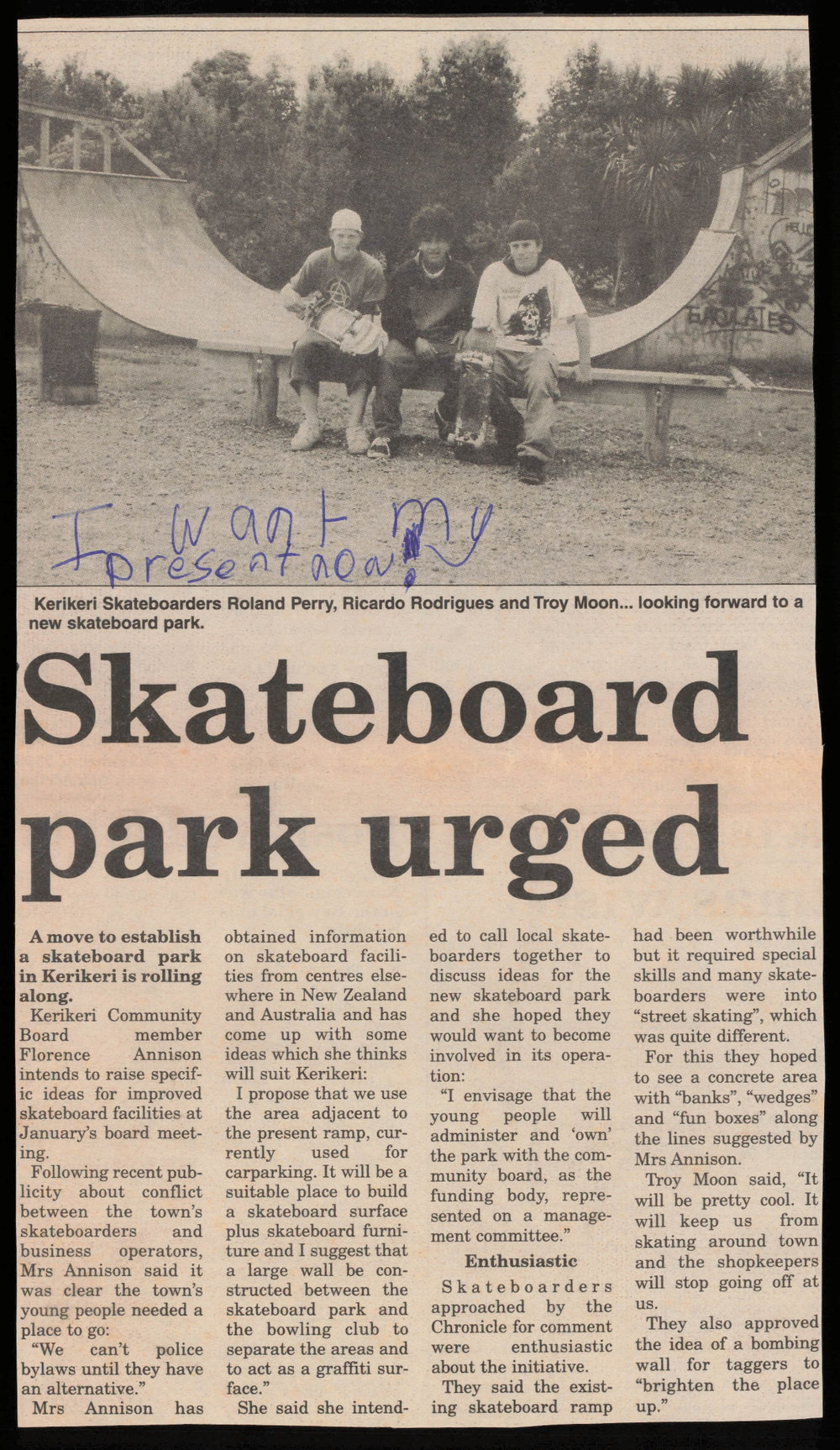 Skateboard park urged