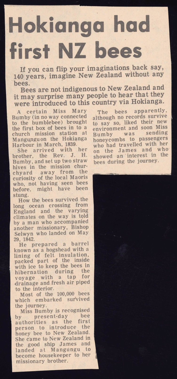 Hokianga had first NZ bees 