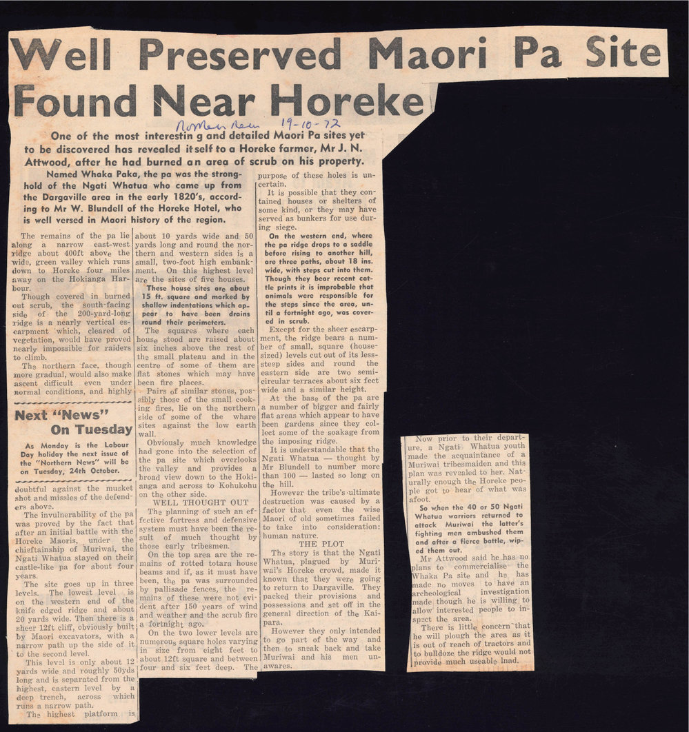 Well preserved Māori Pa site found near Horeke