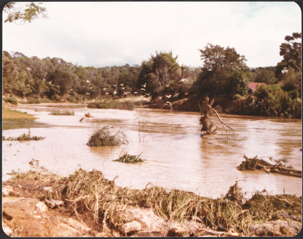 Waipapa Landing in flood