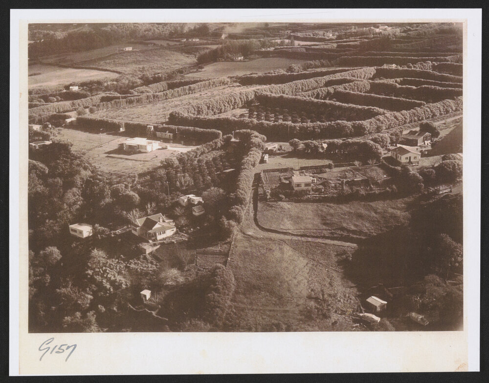 Hardcastle Photographs (31)